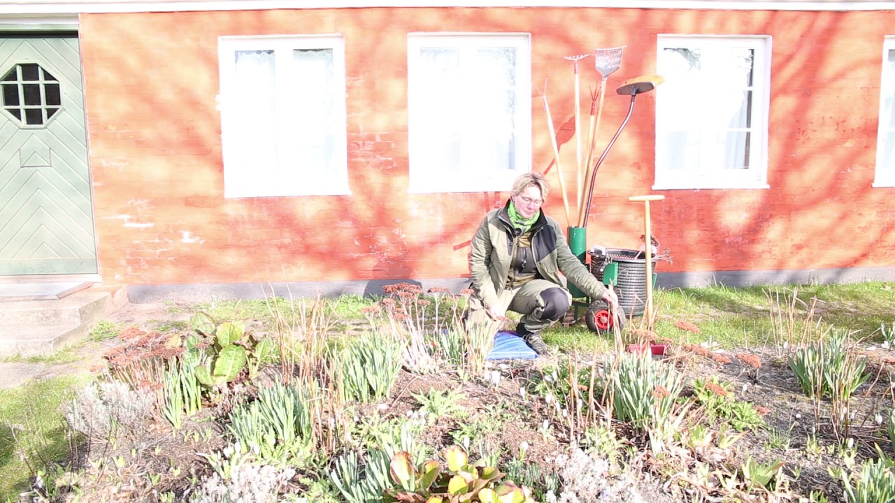 Den digitale museumsvært: Staudebed ved Anchers Hus