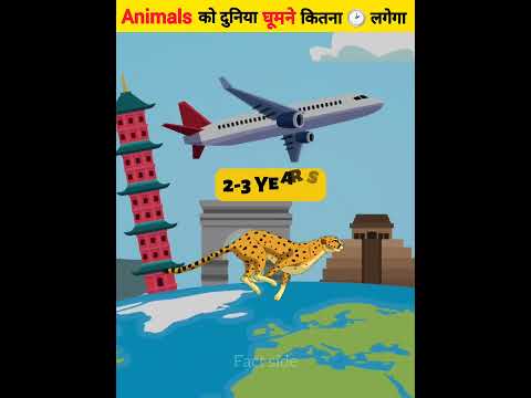 Animals को दुनिया घूमने कितना टाइम लगेगा | Different Animals Traveling Around Earth | #shorts