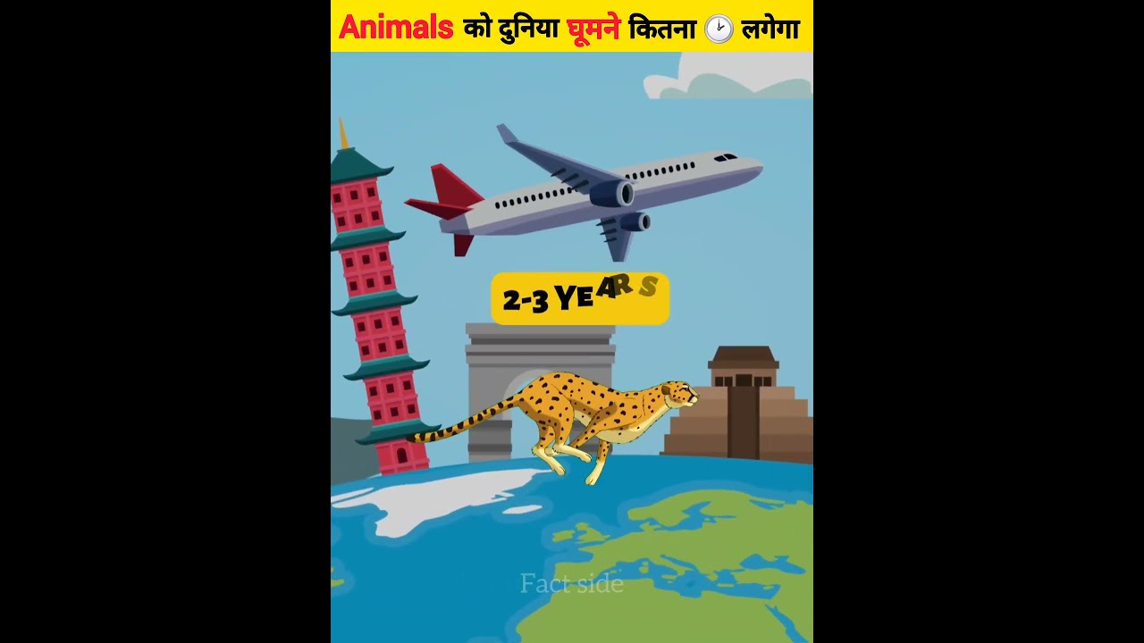 Animals को दुनिया घूमने कितना टाइम लगेगा | Different Animals Traveling Around Earth | #shorts