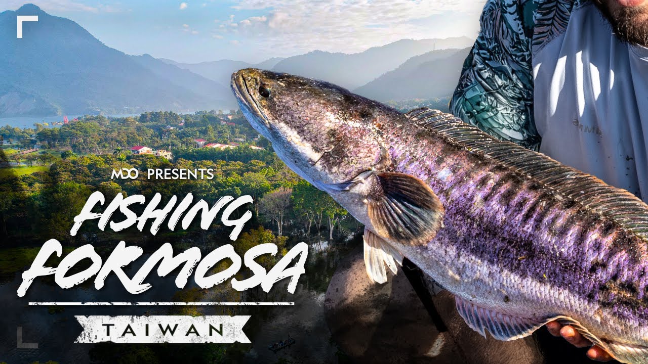 Fishing Formosa (Taiwan, pt.1) - The Giant Snakehead! (+ Sun Moon Lake!) [有中文字幕！]