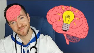 Wie Funktioniert Das Gehirn? Für Kinder Erklärt
