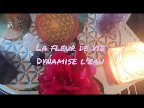 LA FLEUR DE VIE, ma solution pour purifier et recharger mes pierres et mes bijoux ?