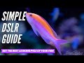 Guide for Fish Photography with a DSLR - SIMPLE!!!