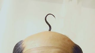 急ぎ上様からお知らせですマツケン
