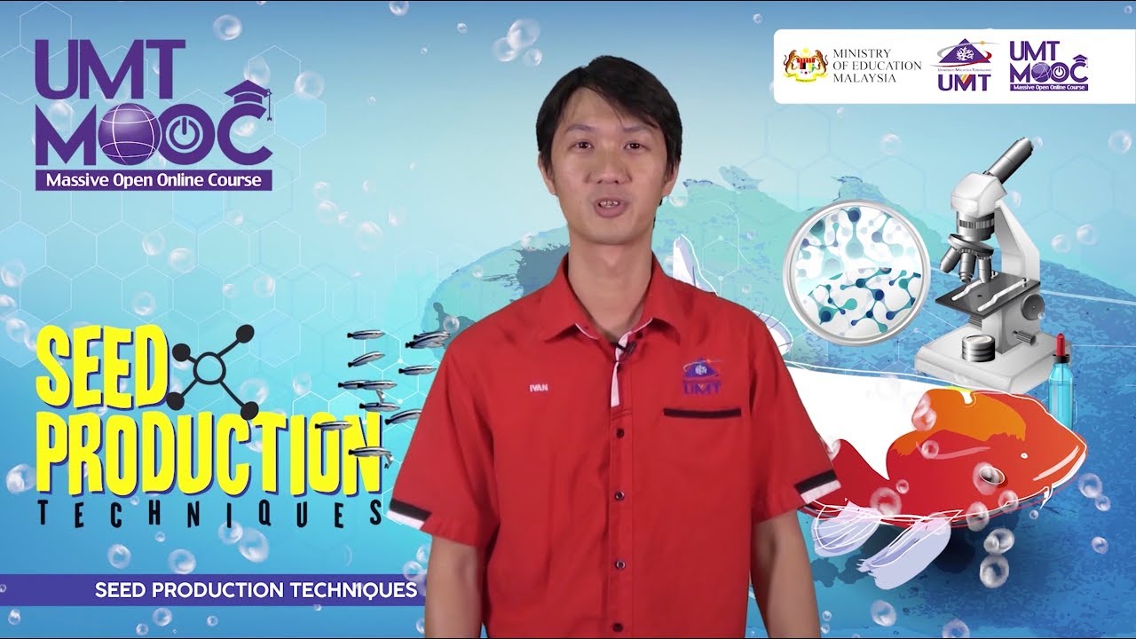 UMTMOOC VIDEO UTAMA SEED PRODUCTION TECHNIQUES YouTube