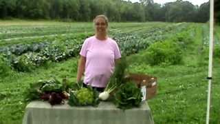 What's in Your CSA Basket Week 3 2013
