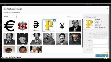 Setting up the Grid Template for the Edin Theme in WordPress