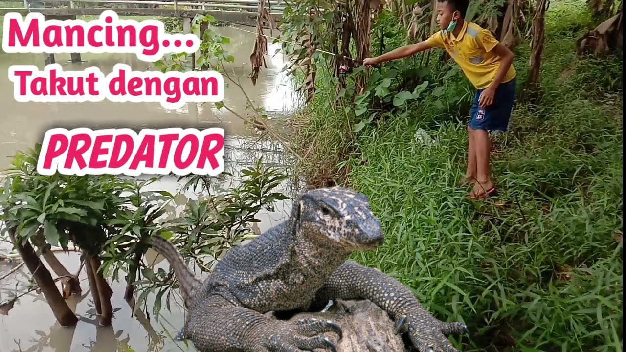 Fishing in the river || Fear of Predators - YouTube