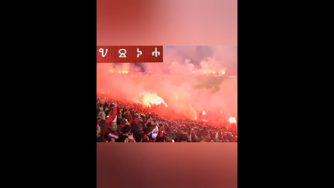 Напред, Армейци!