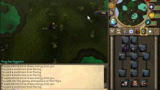 RS P2P Moneymaking guide 500k-600k/h #2
