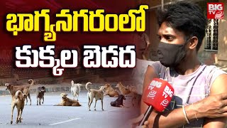 Stray Dogs Atack In Hyderabad | భాగ్యనగరంలో కుక్కల బెడద | BIG TV