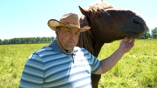 🐎Порода «Советский тяжеловоз» - рассказывает Юрий Шкарёв