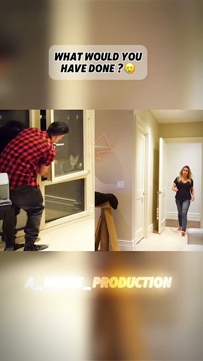 ❗️SAD❗️ Moment Caught On Camera #sad #emotional #pvp #prank #cat