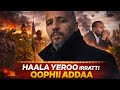 Haala Yeroo Siyaasa Biyyattii Gaanfa Afrikaa Irratti Turtii Addaa