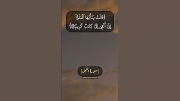 سورة النمل الآية ٢٨ الى ٣٢ بصوت الشيخ محمد صديق المنشاوي
