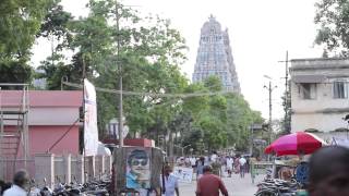 Proof Eyewear || The India Project Profile