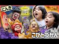 【こびとづかん】海!森!畑! お宝とこびとを見つけたSP!!【人気動画まとめ】
