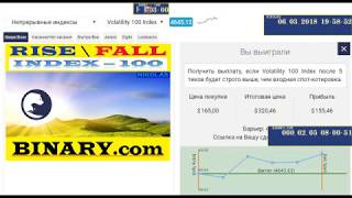 RISE \ FALL Index - 100 Binary.com