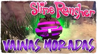 ¡SLIME RANCHER TEMPORADA 2! VERSIÓN 0.4.0 | VAINAS DEL TESORO MORADAS | #SLIMERANCHER