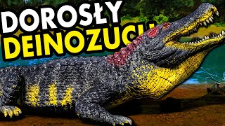 MAM DOROSŁEGO DEINOZUCHA! CZAS NA POLOWANIE NA DINOZAURY - THE ISLE EVRIMA screenshot 5