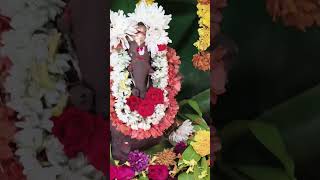 Ganesh festival home! #vinayakachavithi #ganeshchaturthi #ganesh