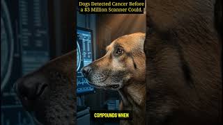 Dogs Detected Cancer Before a $3 Million Scanner Could. #unexplained #facts #marinemystery