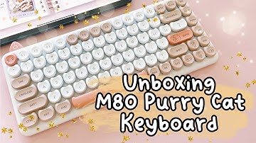 Unboxing my Pink iQunix M80 Purry Cat Wireless Mechanical Keyboard
