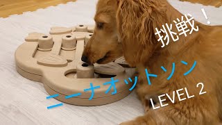 犬用知育玩具 ニーナオットソンのおもちゃを買ってみた