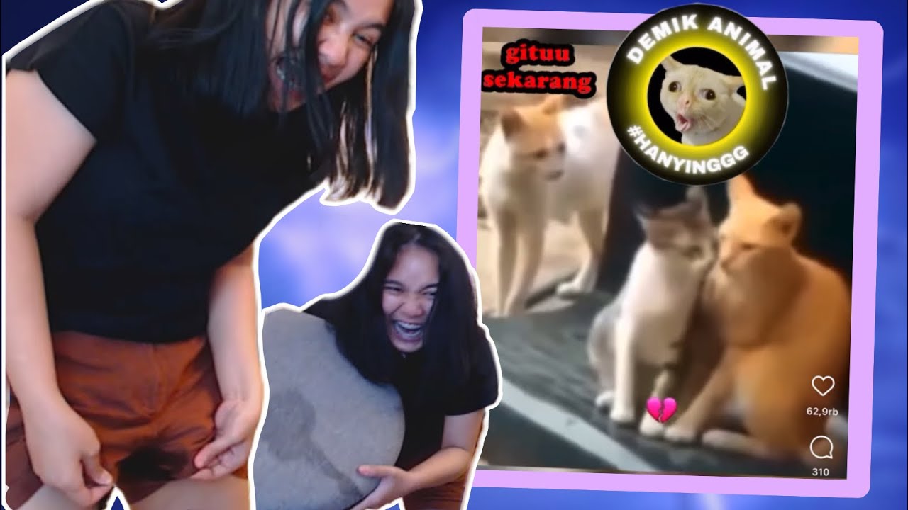 NGOMPOL SAMPE BASAH SEMUA WKWKW - Reaction Demik Animal #10