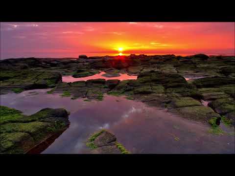 Kenichiro Nishihara - Kingyo