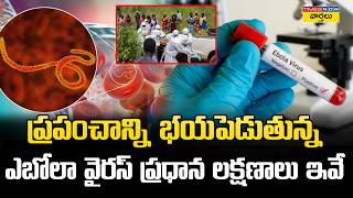 Ebola Virus Explained 🦠 || ఎబోలా వైరస్ అంటే ఏమిటి? లక్షణాలు || Causes, Symptoms, Treatment