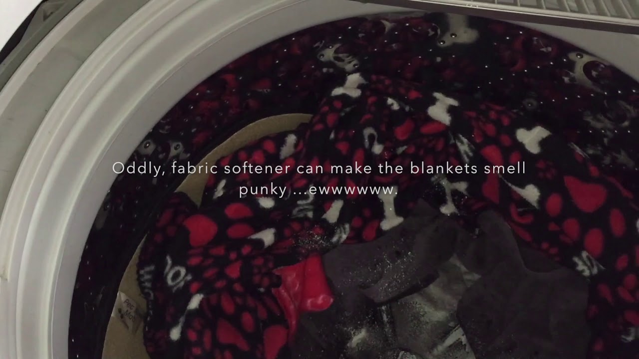 How to keep dogs' bedding smelling clean and fresh