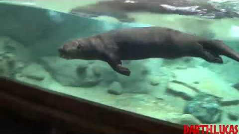 Philadelphia Zoo New! Water Is Life exhibit