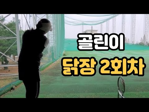골린이 골프 초보자 도전기 (스윙 분석)