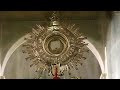 Why you cant consume eucharistic miracles