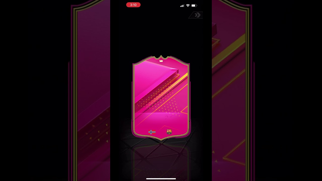 100% Futties Winner Pack 