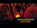 Duettino  mathieu crickboom violin duet