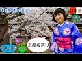 台湾人が着物姿で京都の桜名所をご案内。 鴨川・高瀨川・祇園花見小路・知恩院 【京都桜巡り2017 】