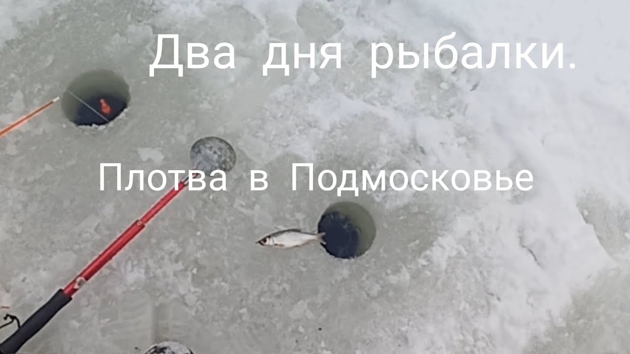 Рыбалка как она есть. 