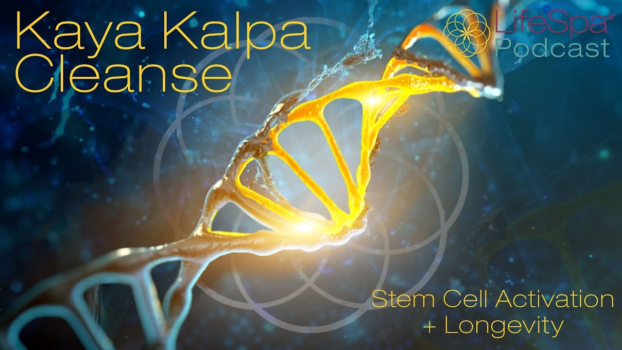 Kaya Kalpa Cleanse Stem Cell Activation + Longevity John Douillard's