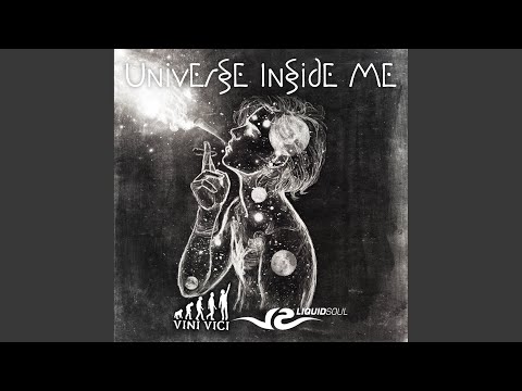 Liquid Soul & Vini Vici - Universe Inside Me