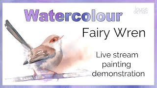 Louise De Masi Fairy Wren Live Stream