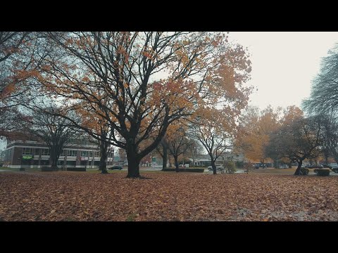 Downtown Longview, Washington Walk in the Rain 4k