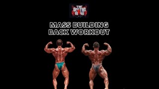 Mass Building Back Workout