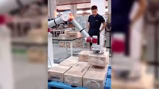 Jaka Cobot Ile Paletleme Uygulaması Bzdinamik