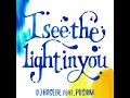 Dj hasebe  i see the light in you feat pushim official audio