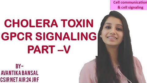 CHOLERA TOXIN SIGNALING|Vibreo cholerae|GPCR|G protein|cell signaling|Csirnet|gate|IITJAM|dbt|msc|bs