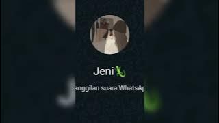 Notifikasi telpon jedag jedug DJ Borneo | trand tiktok