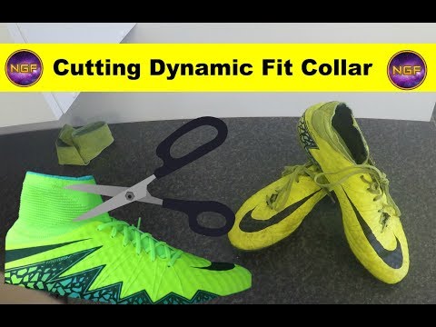 dynamic fit collar