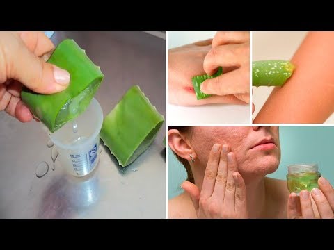 7 Reasons To Rub Aloe Vera On Your Face and Skin - Aloe Vera Benefits for Skin